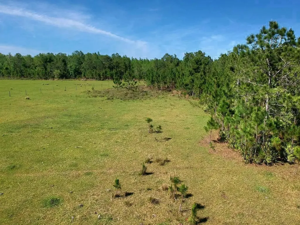 Deen Still Road E Road E Polk City FL 33868