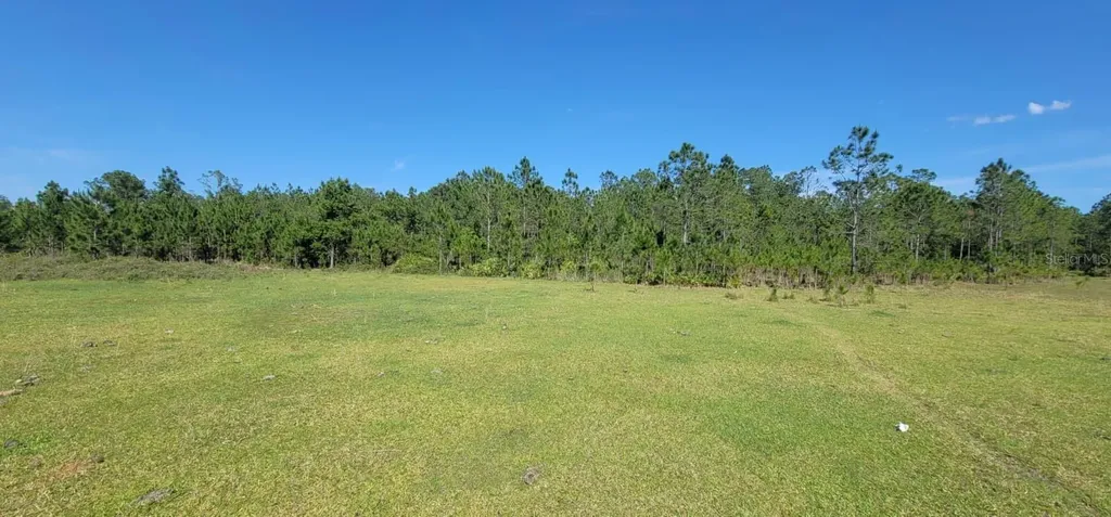 Deen Still Road E Road E Polk City FL 33868