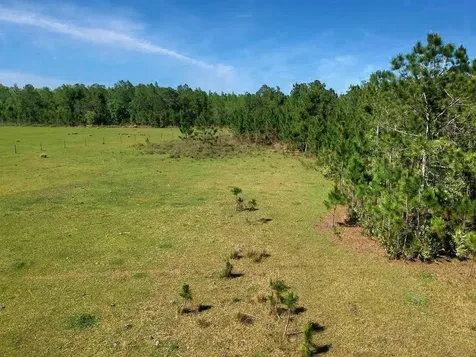 Deen Still Road E Road E Polk City FL 33868
