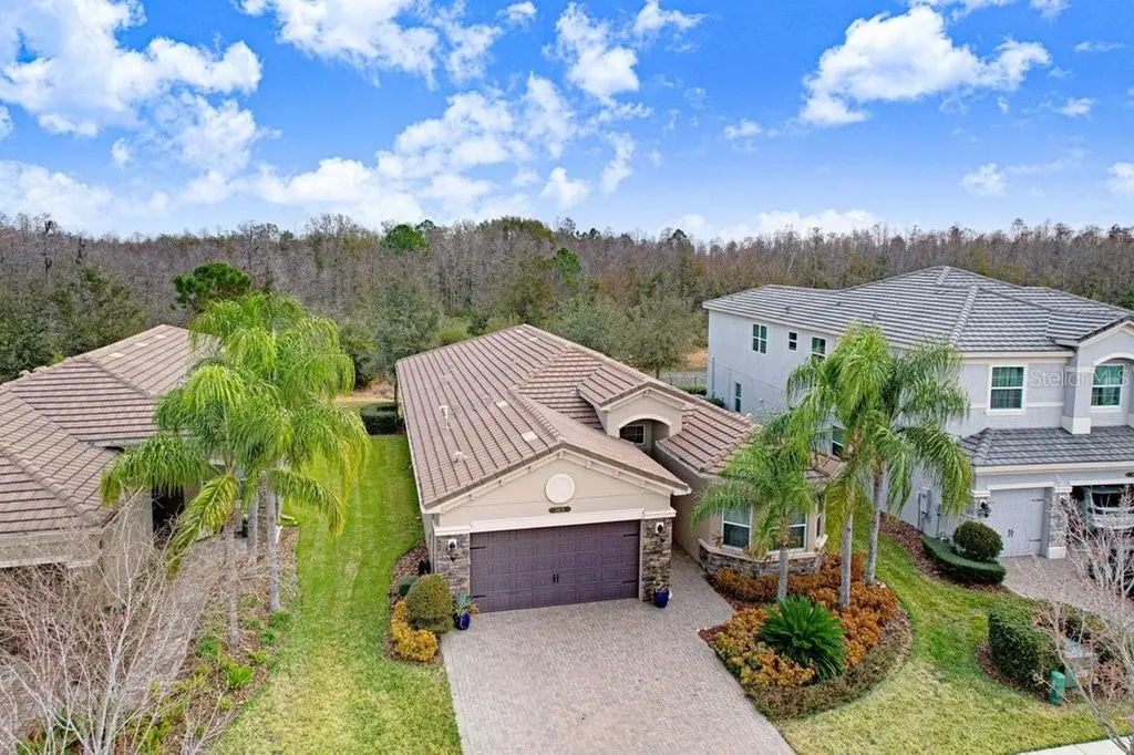 2436 Oakwood Preserve Drive Wesley Chapel FL 33543