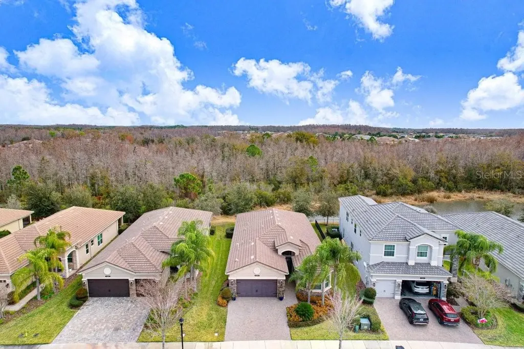 2436 Oakwood Preserve Drive Wesley Chapel FL 33543