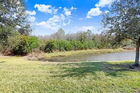 2436 Oakwood Preserve Drive Wesley Chapel FL 33543
