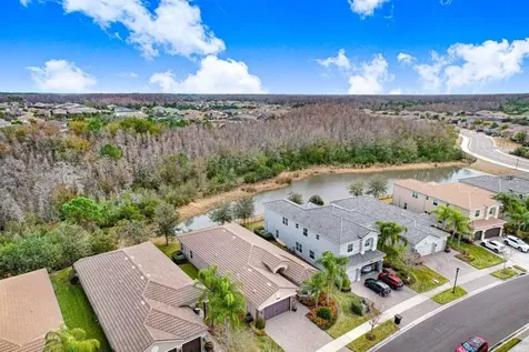 2436 Oakwood Preserve Drive Wesley Chapel FL 33543