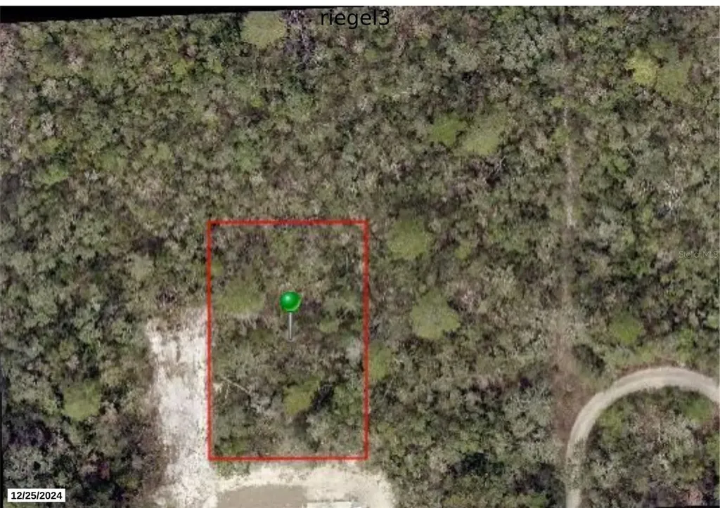 Riegel (paper) Avenue Orange City FL 32763