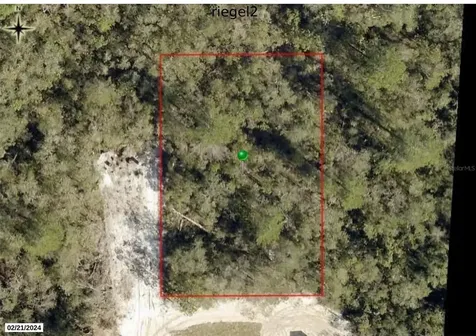 Riegel (paper) Avenue Orange City FL 32763
