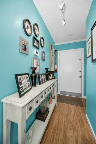 3958 37th Street S St Petersburg FL 33711