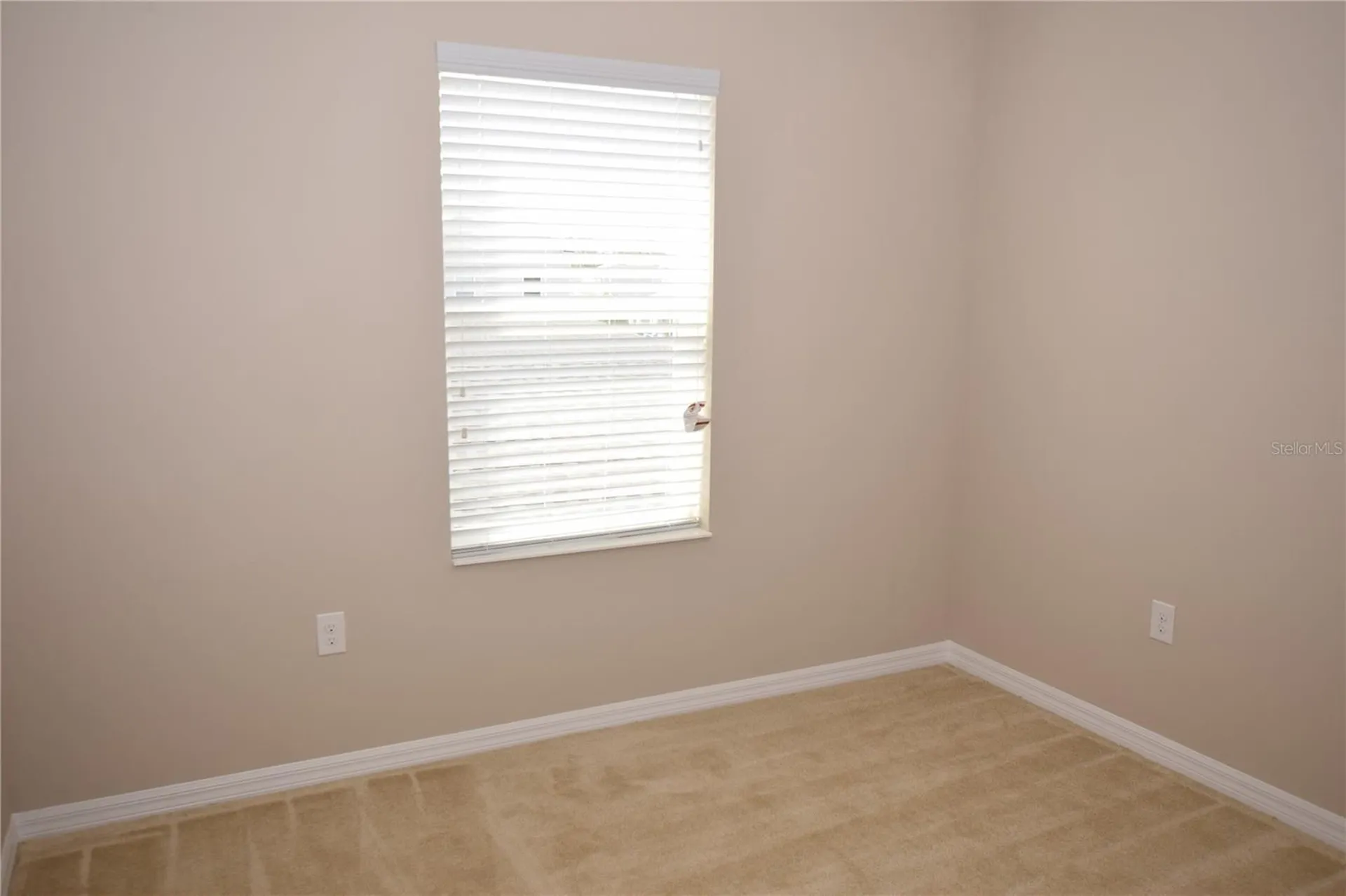 8019 Jeremy Joseph Alley Winter Garden FL 34787