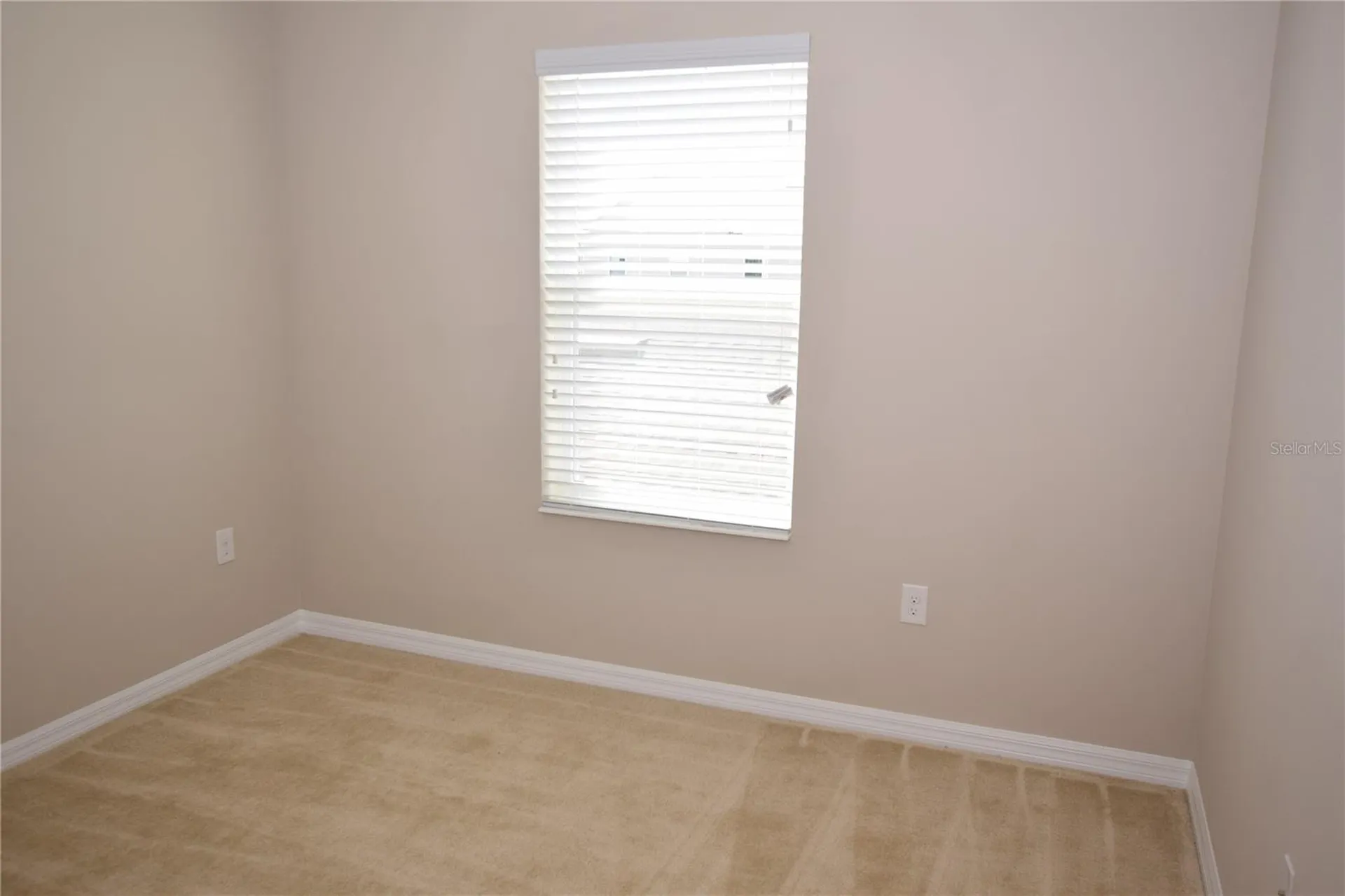 8019 Jeremy Joseph Alley Winter Garden FL 34787