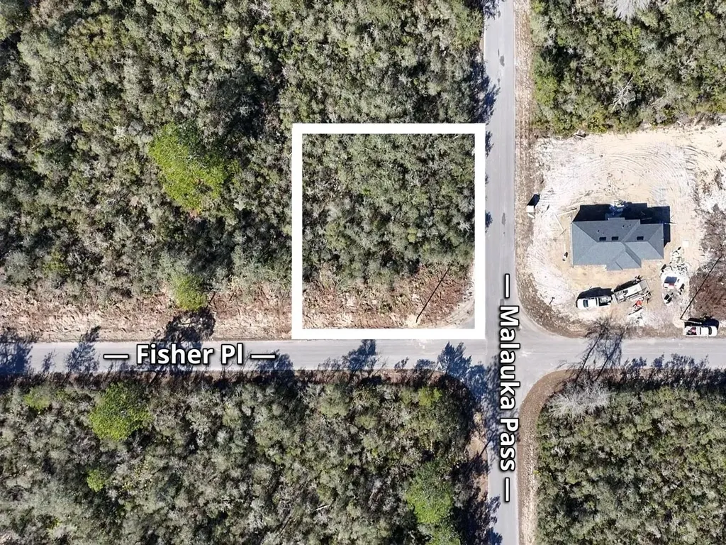 Fisher Pass Ocklawaha FL 32179