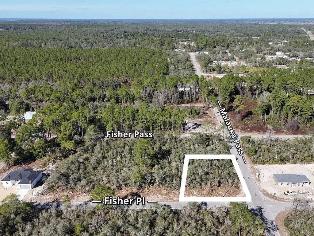 Fisher Pass Ocklawaha FL 32179