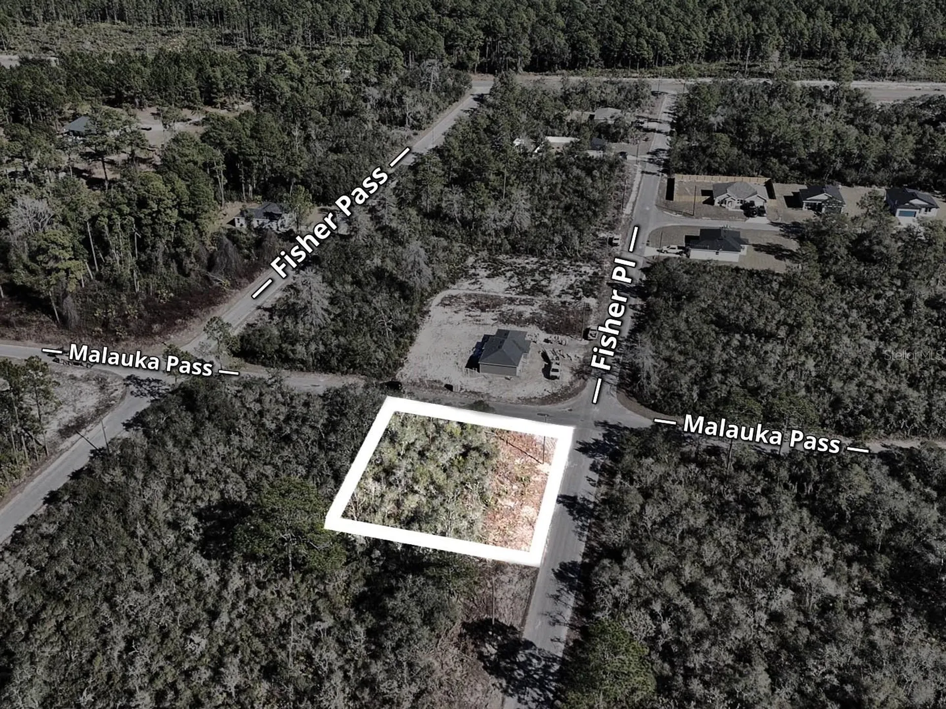 Fisher Pass Ocklawaha FL 32179