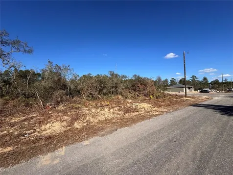 Fisher Pass Ocklawaha FL 32179