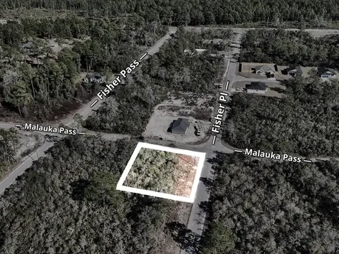 Fisher Pass Ocklawaha FL 32179