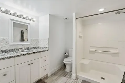 7247 Treasure Island Road Leesburg FL 34788