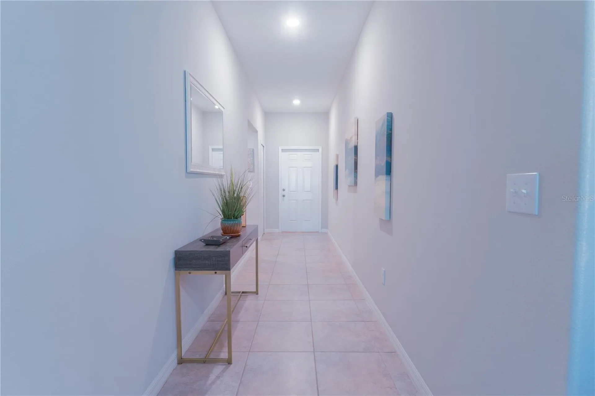 10206 Bright Crystal Avenue Riverview FL 33578