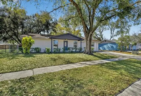 3706 Mistwood Drive Tampa FL 33619