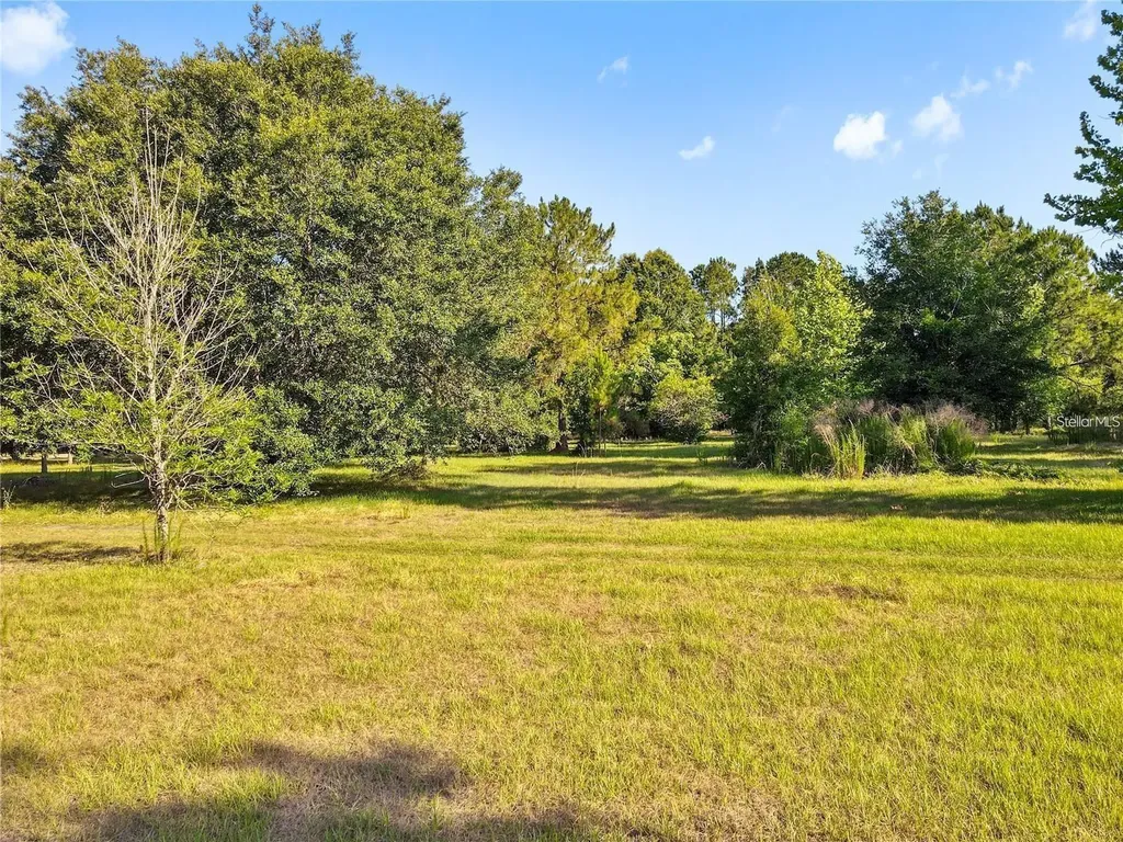 13921 Pine Meadow Road Kathleen FL 33849