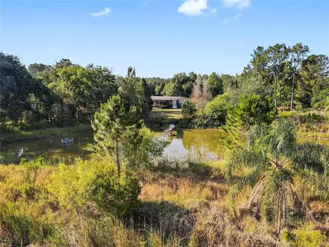 13921 Pine Meadow Road Kathleen FL 33849