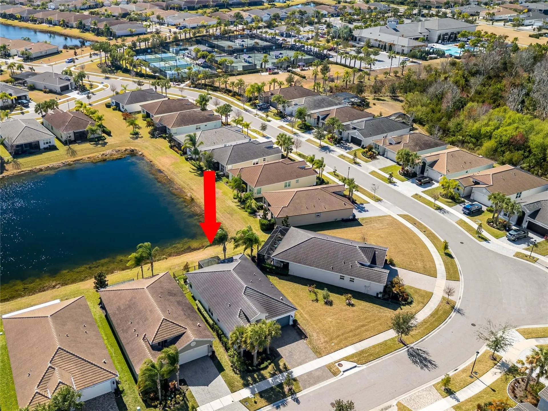 15452 Santa Pola Drive Wimauma FL 33598