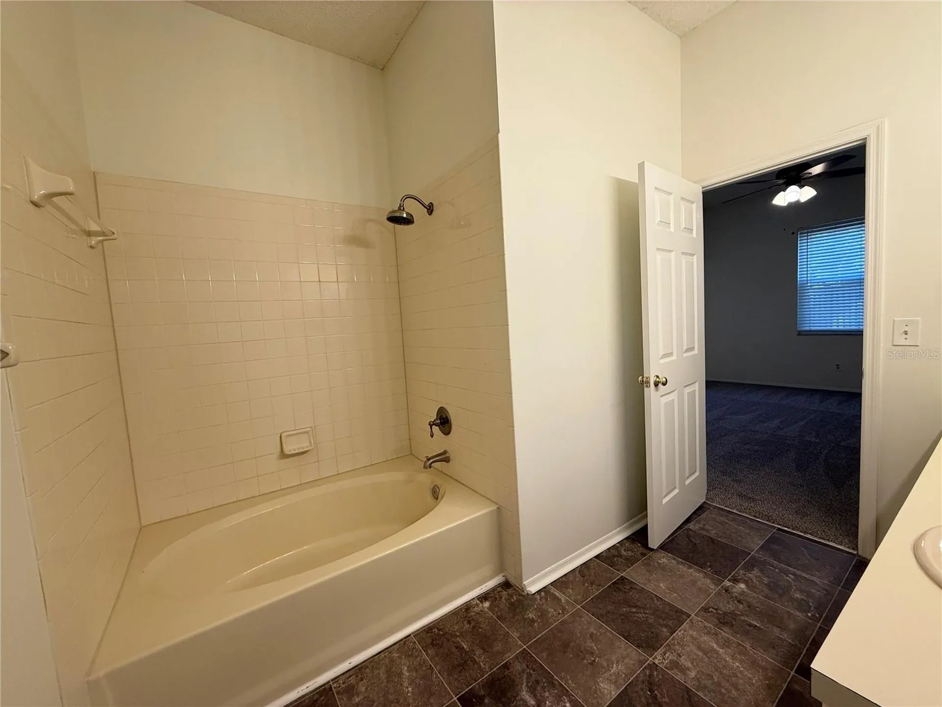 5901 Erhardt Drive Riverview FL 33578