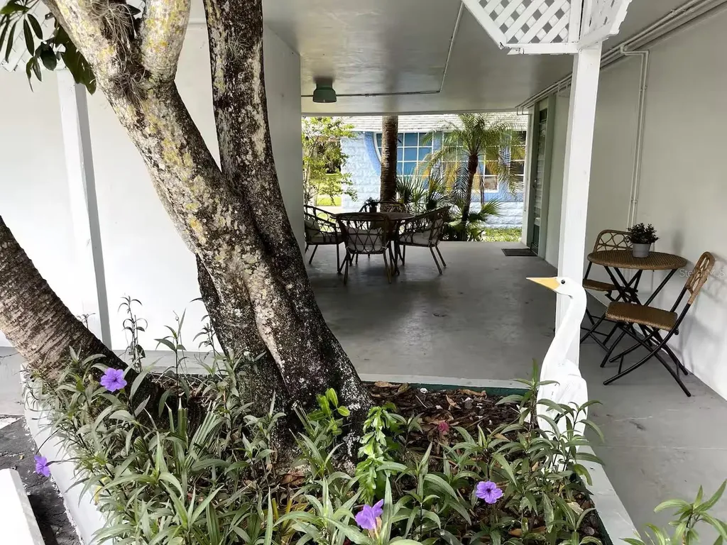 1064 Broadway Dunedin FL 34698