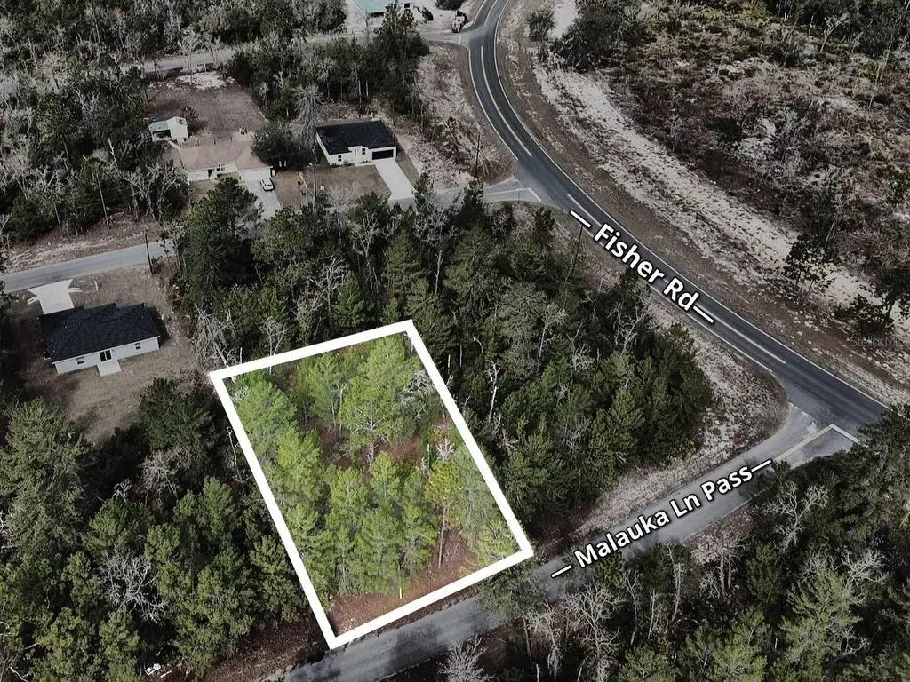Malauka Lane Pass Ocklawaha FL 32179