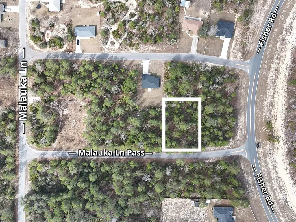 Malauka Lane Pass Ocklawaha FL 32179