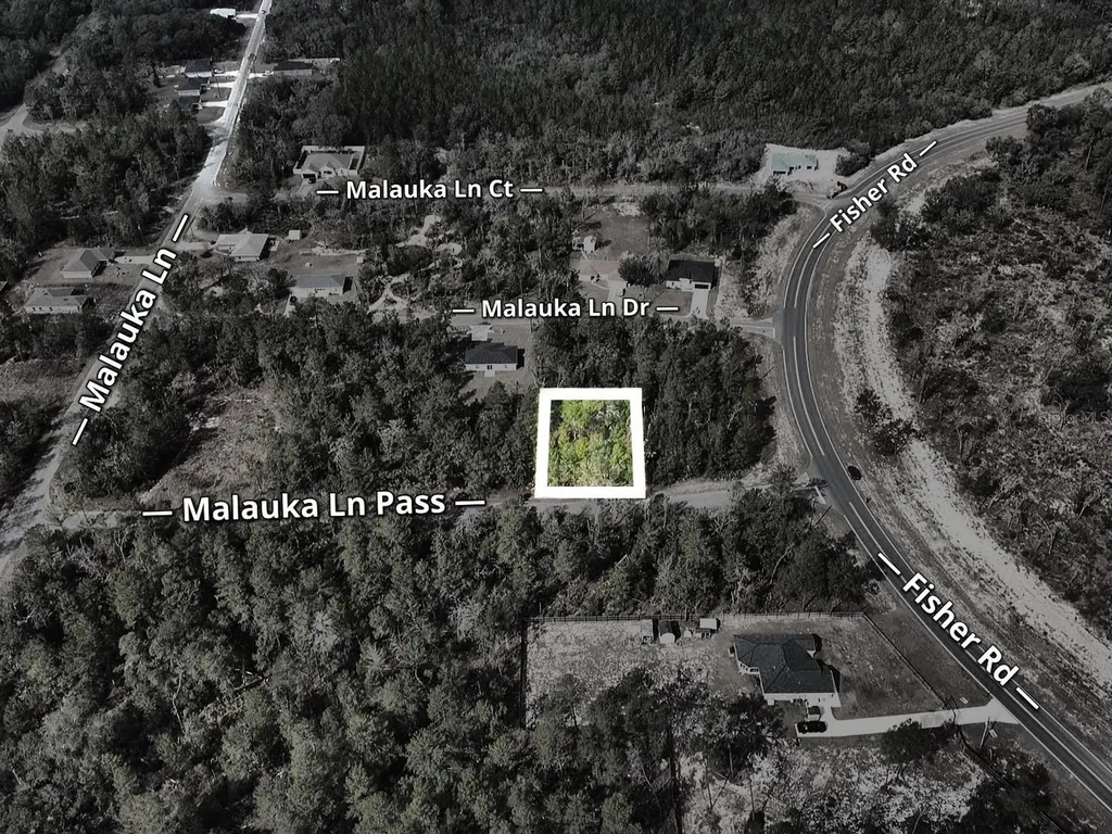 Malauka Lane Pass Ocklawaha FL 32179