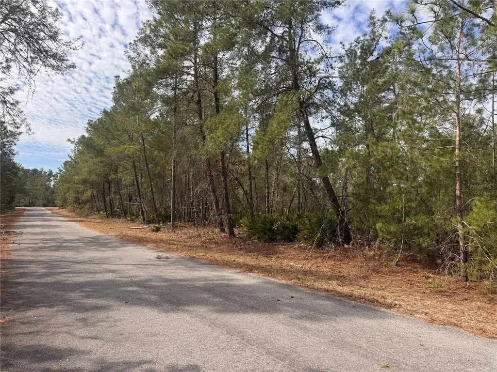 Malauka Lane Pass Ocklawaha FL 32179