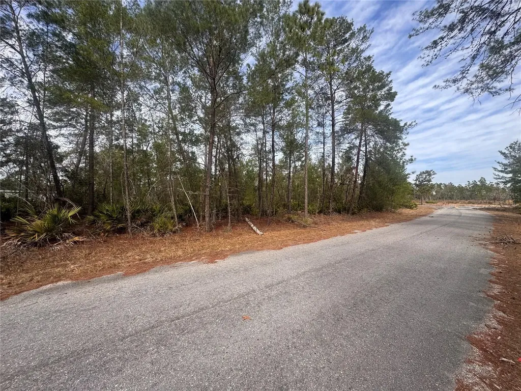 Malauka Lane Pass Ocklawaha FL 32179