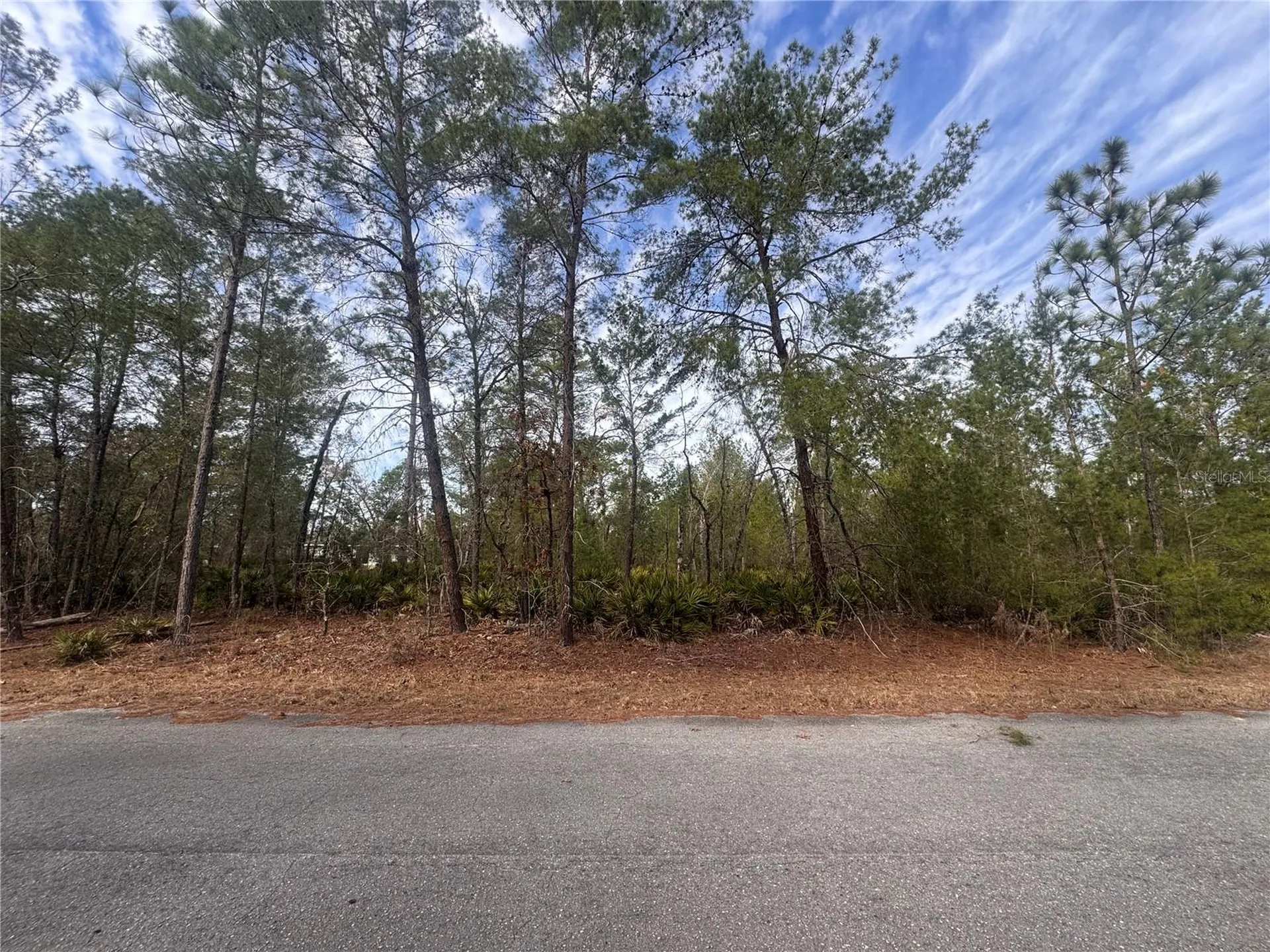 Malauka Lane Pass Ocklawaha FL 32179