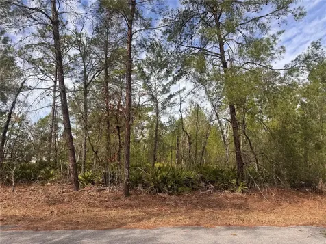 Malauka Lane Pass Ocklawaha FL 32179