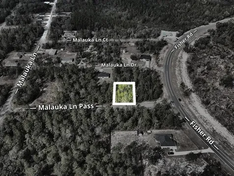 Malauka Lane Pass Ocklawaha FL 32179