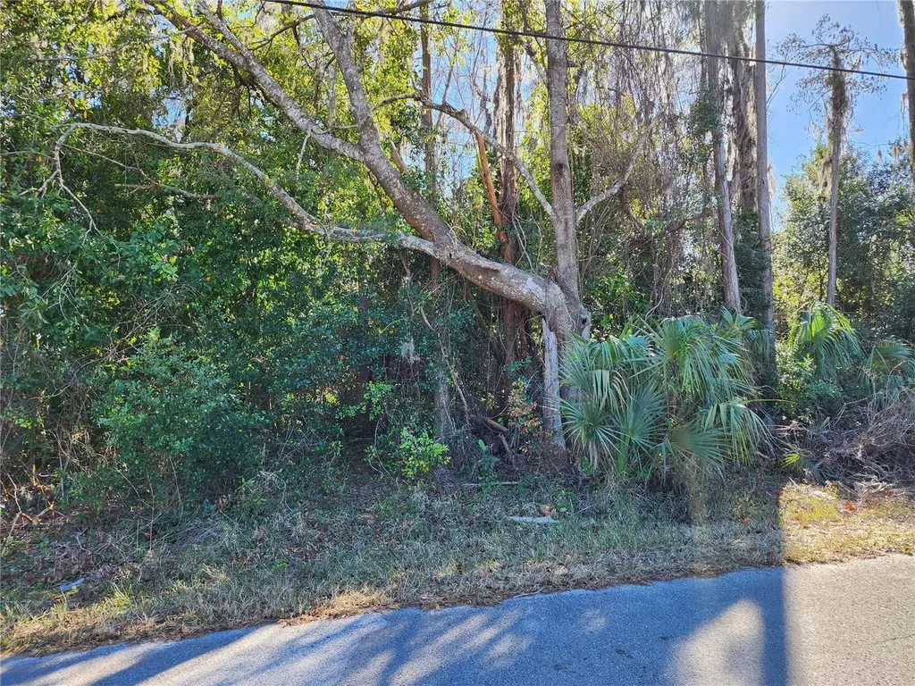 12716 Poppy Street New Port Richey FL 34654