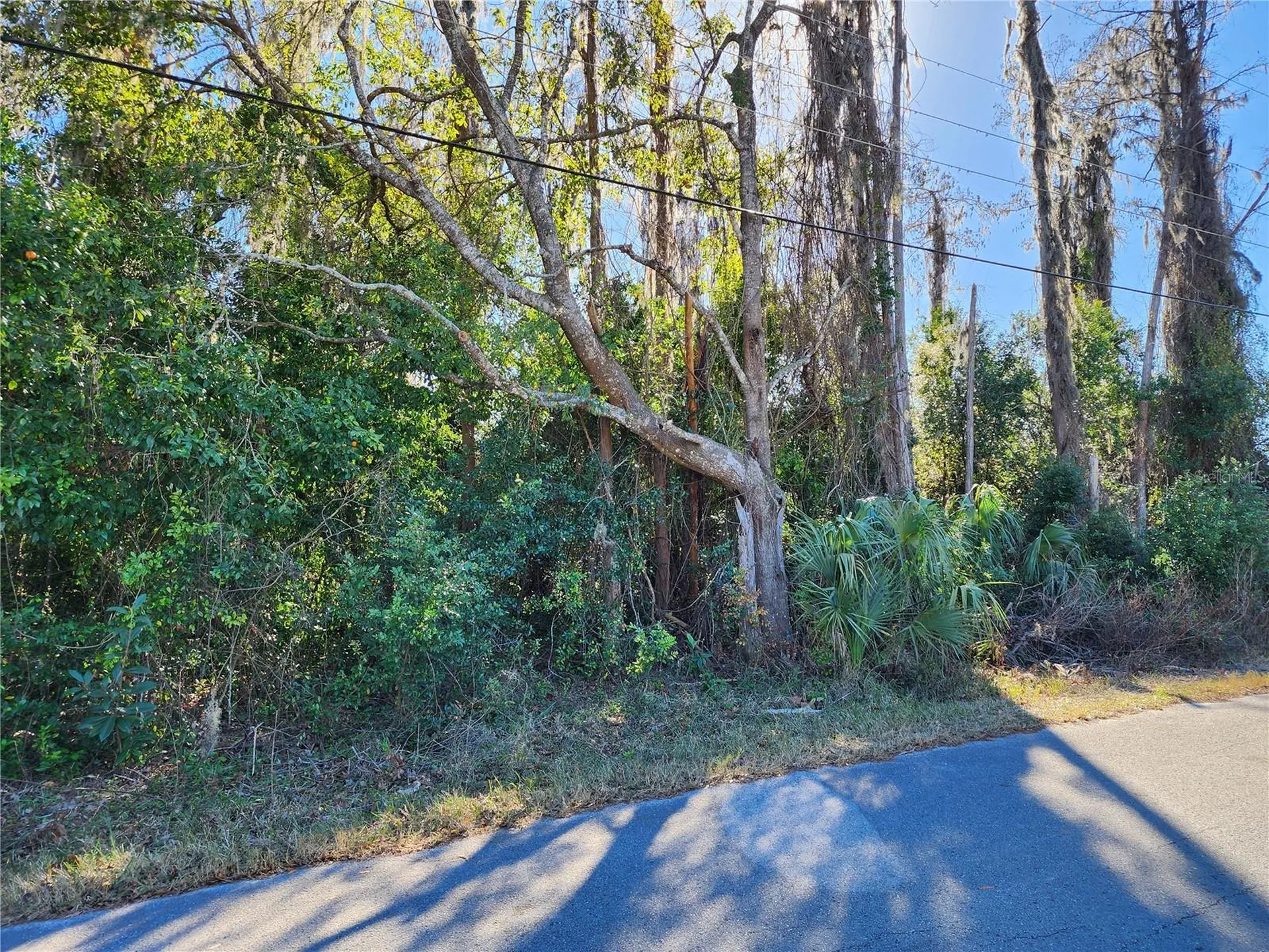 12716 Poppy Street New Port Richey FL 34654