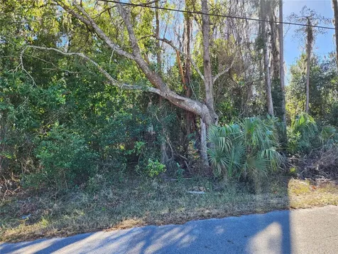 12716 Poppy Street New Port Richey FL 34654