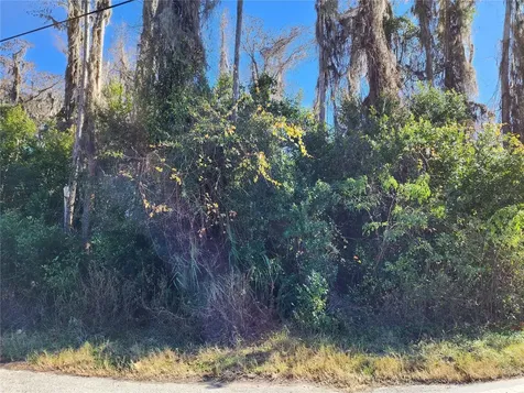 12716 Poppy Street New Port Richey FL 34654