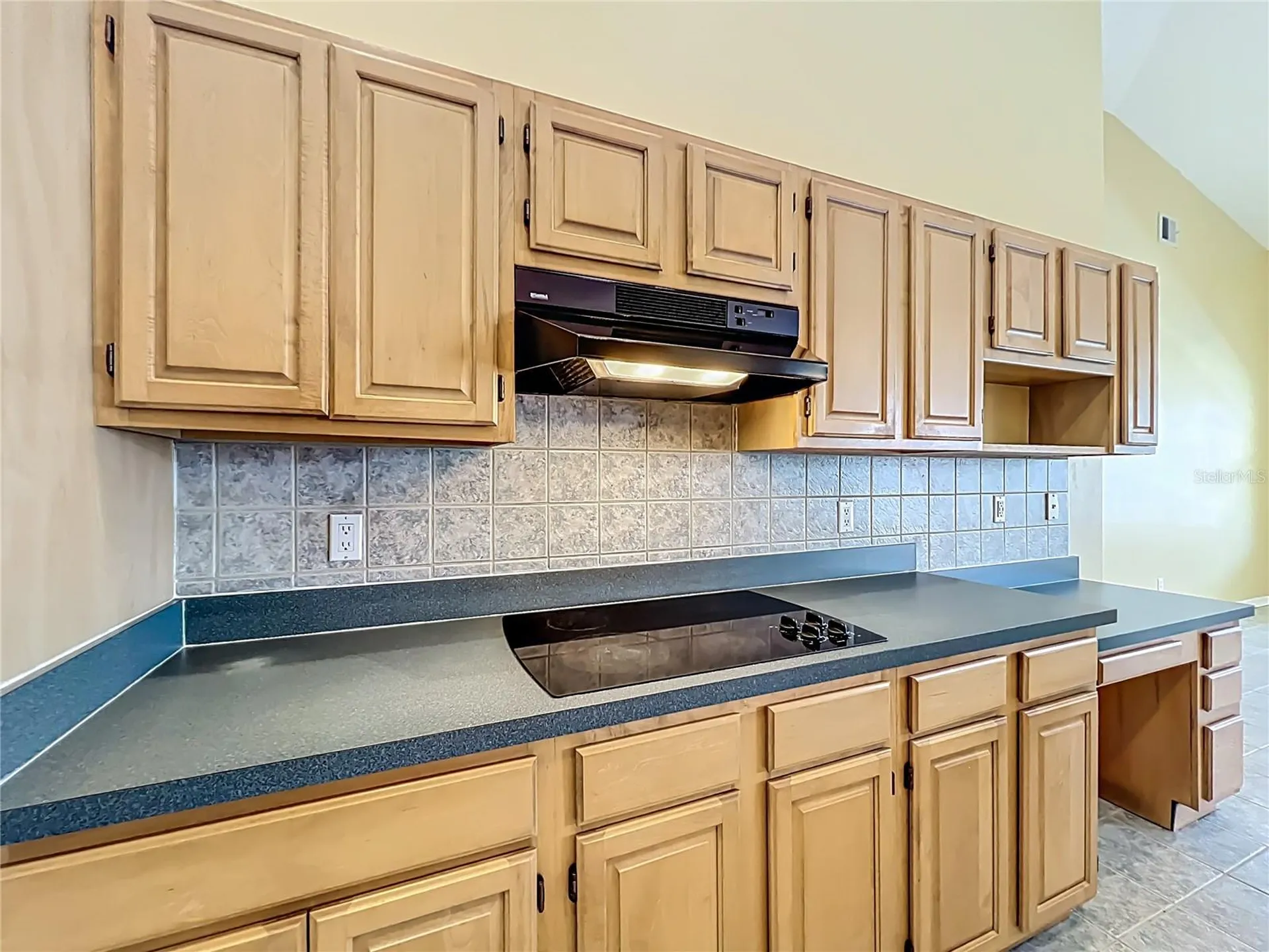 2909 Smithfield Drive Orlando FL 32837