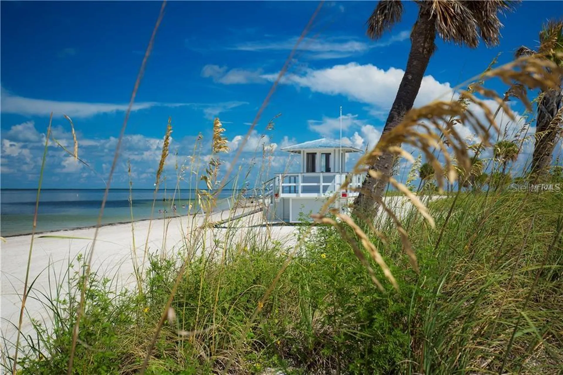 39650 Us Highway 19 N Tarpon Springs FL 34689
