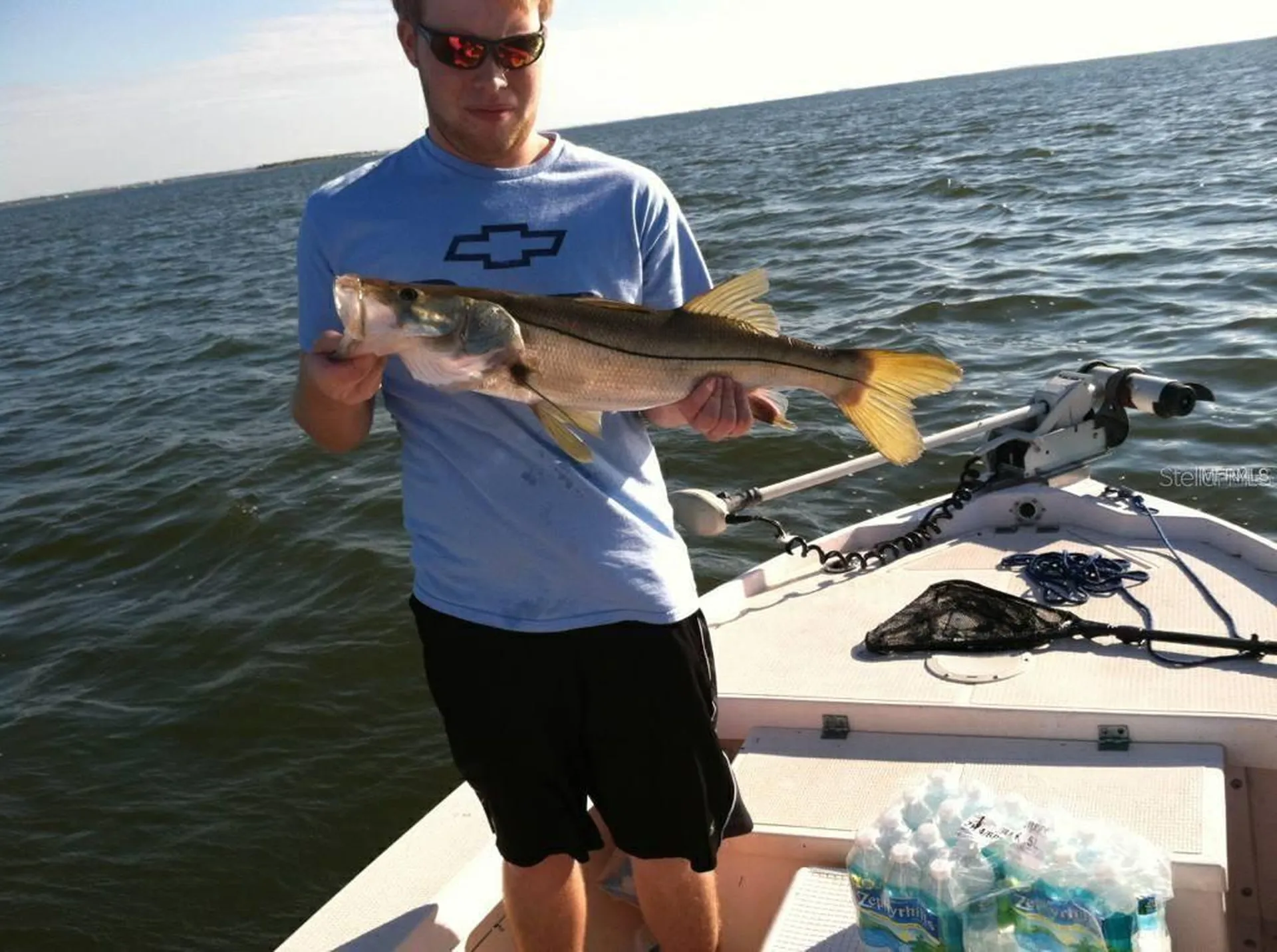 39650 Us Highway 19 N Tarpon Springs FL 34689