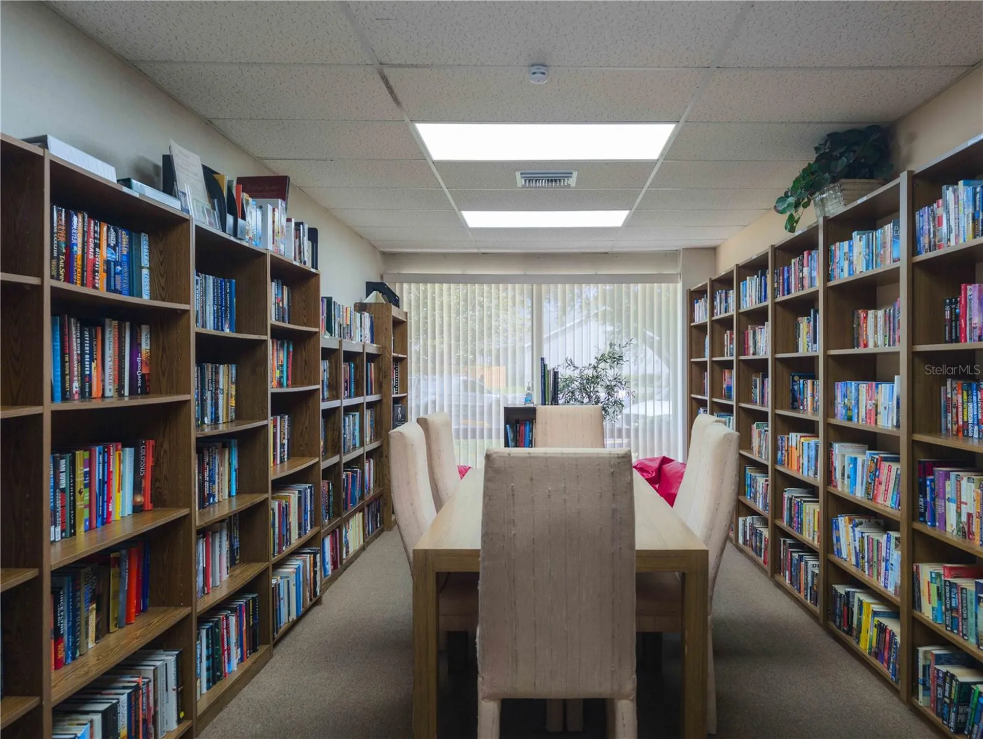 39650 Us Highway 19 N Tarpon Springs FL 34689