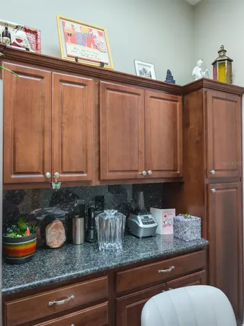 39650 Us Highway 19 N Tarpon Springs FL 34689