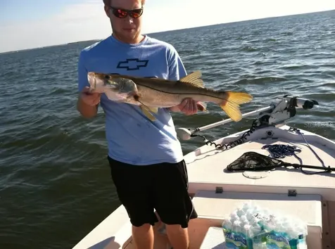 39650 Us Highway 19 N Tarpon Springs FL 34689