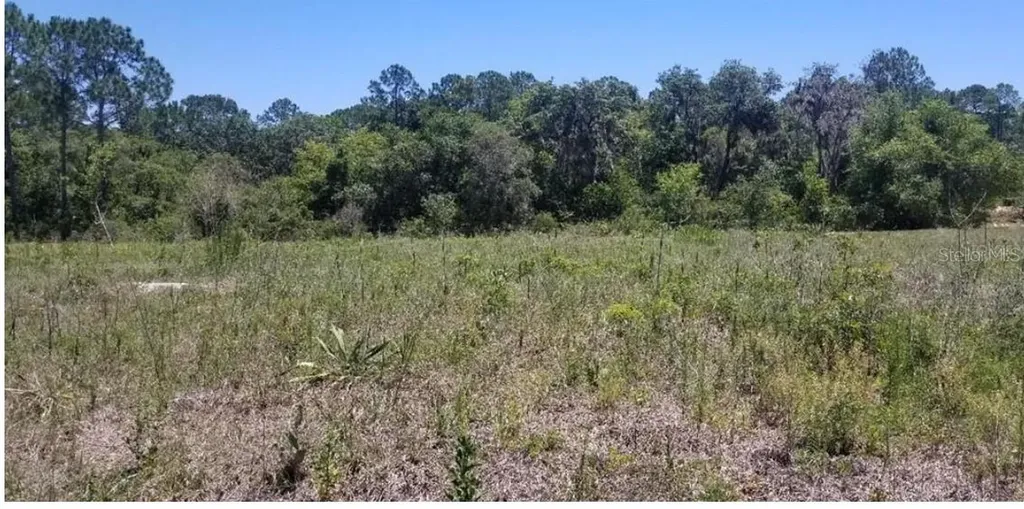 316 Bass Lane Kissimmee FL 34759