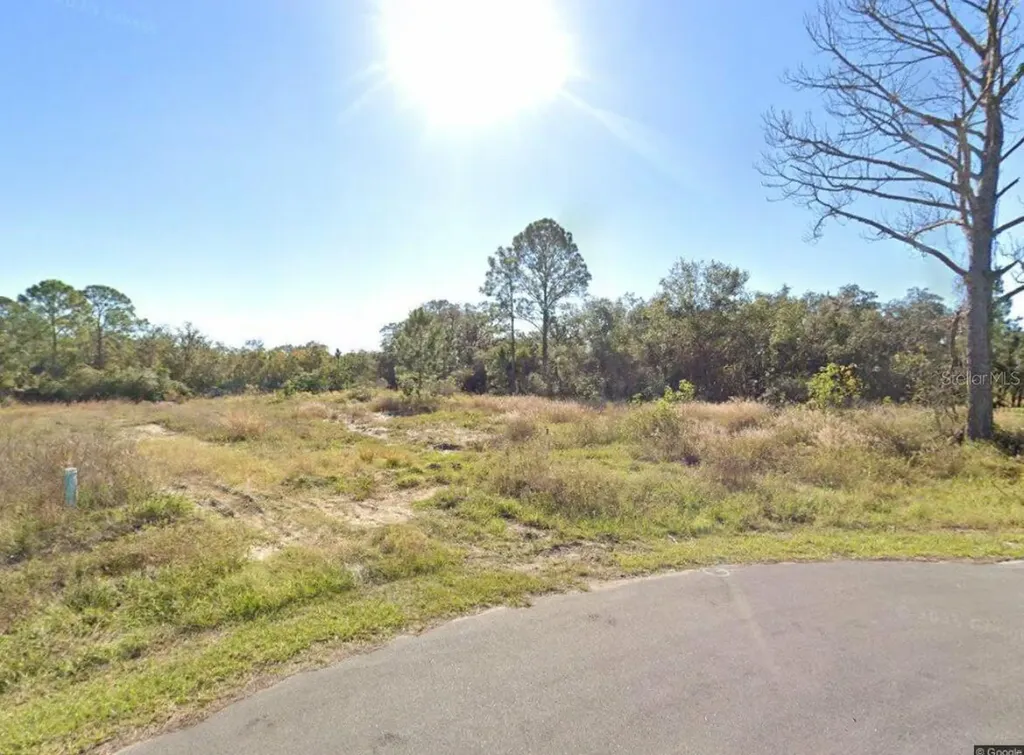 316 Bass Lane Kissimmee FL 34759