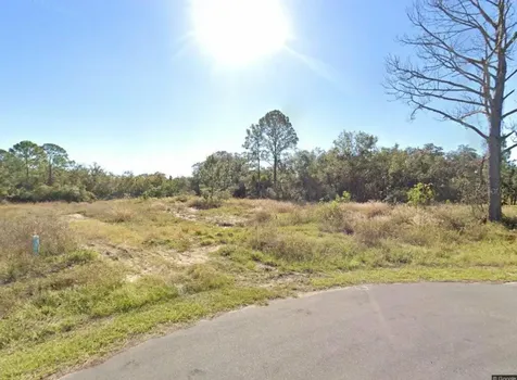 316 Bass Lane Kissimmee FL 34759