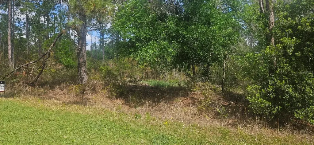 408 Pandora Drive Indian Lake Estates FL 33855