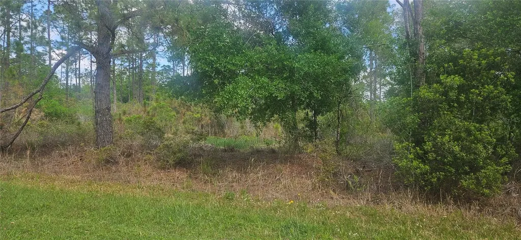 408 Pandora Drive Indian Lake Estates FL 33855