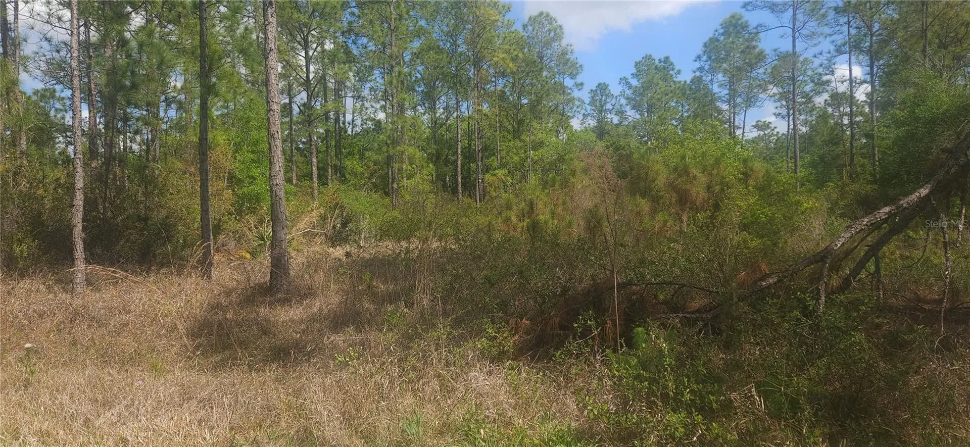 408 Pandora Drive Indian Lake Estates FL 33855