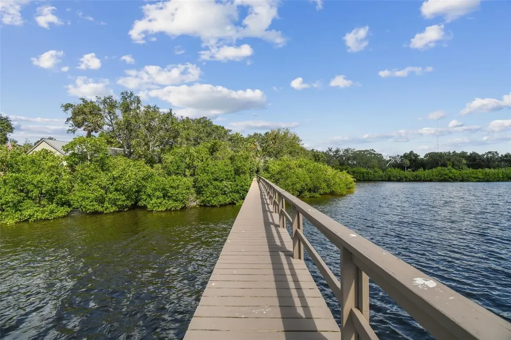 1705 Meyers Cove Drive Tarpon Springs FL 34689